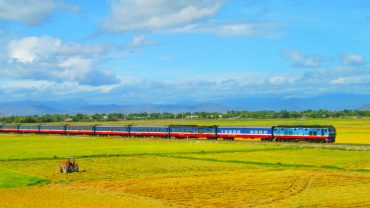 Vast Rice Fields of Hue